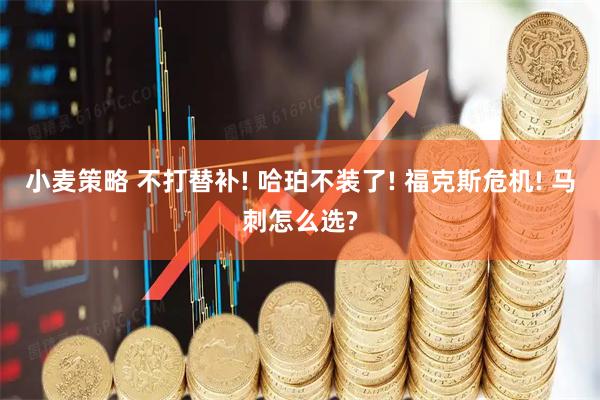 小麦策略 不打替补! 哈珀不装了! 福克斯危机! 马刺怎么选?