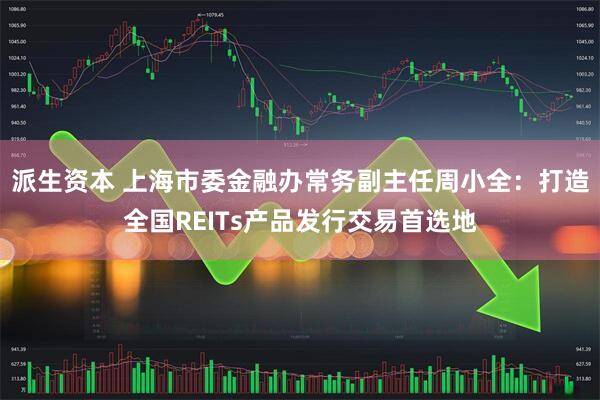 派生资本 上海市委金融办常务副主任周小全：打造全国REITs产品发行交易首选地