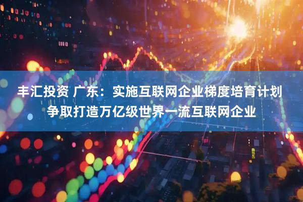 丰汇投资 广东：实施互联网企业梯度培育计划 争取打造万亿级世界一流互联网企业