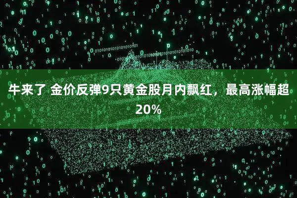 牛来了 金价反弹9只黄金股月内飘红，最高涨幅超20%
