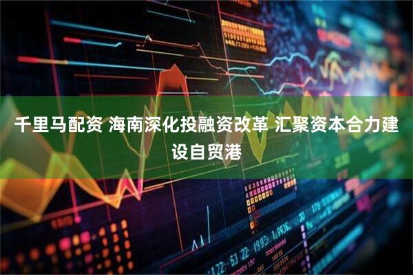 千里马配资 海南深化投融资改革 汇聚资本合力建设自贸港
